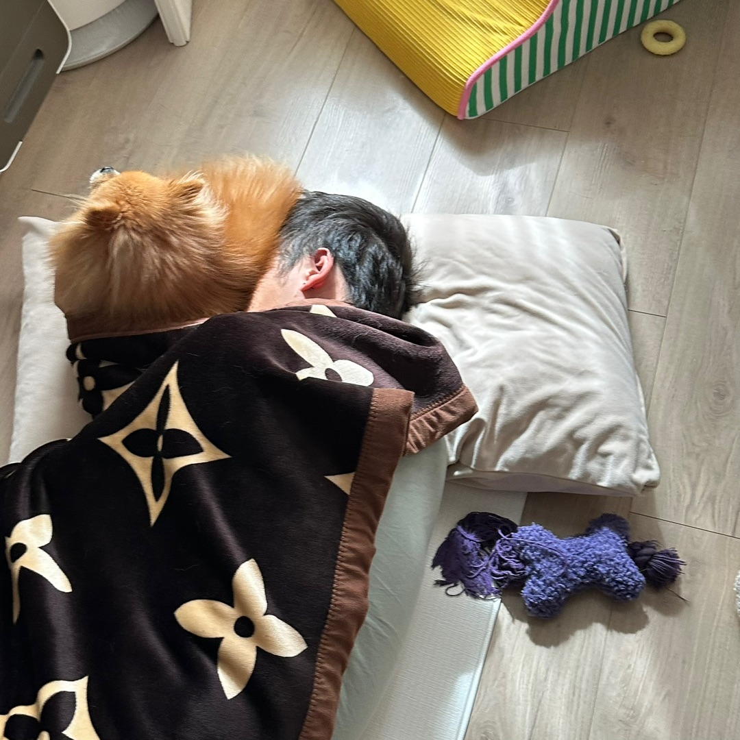 小狗就喜欢坐脸上睡觉怎么办