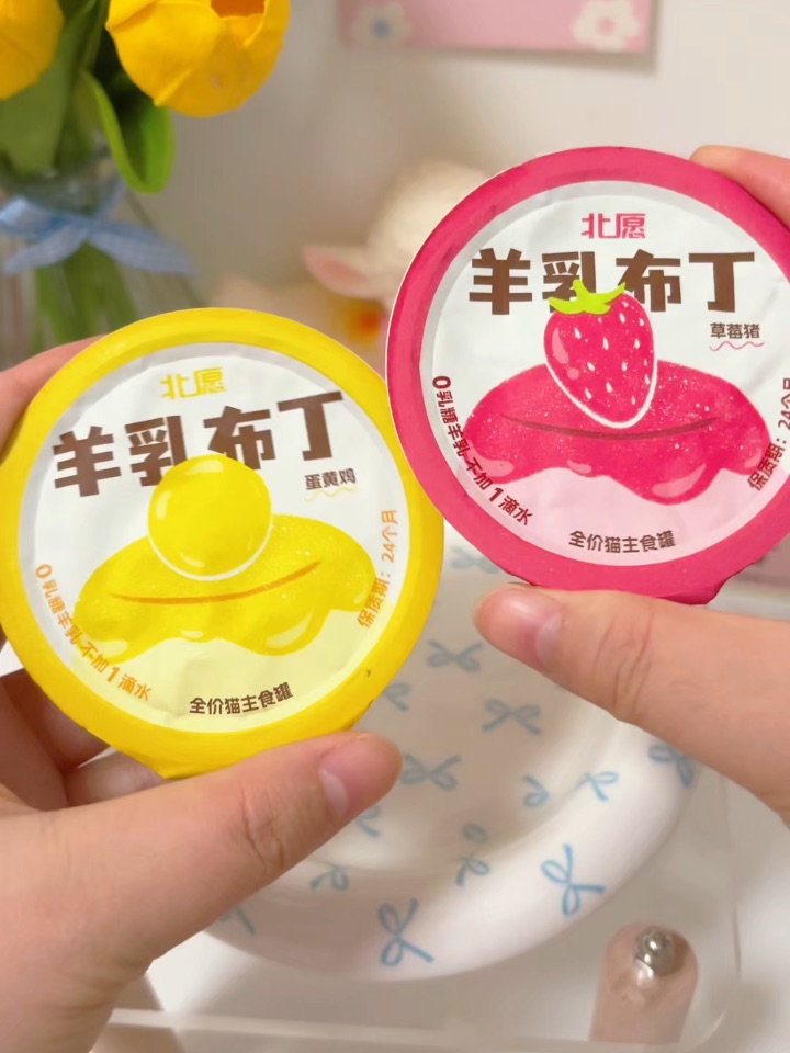 蛙趣‼️属于小猫的羊乳布丁🍮