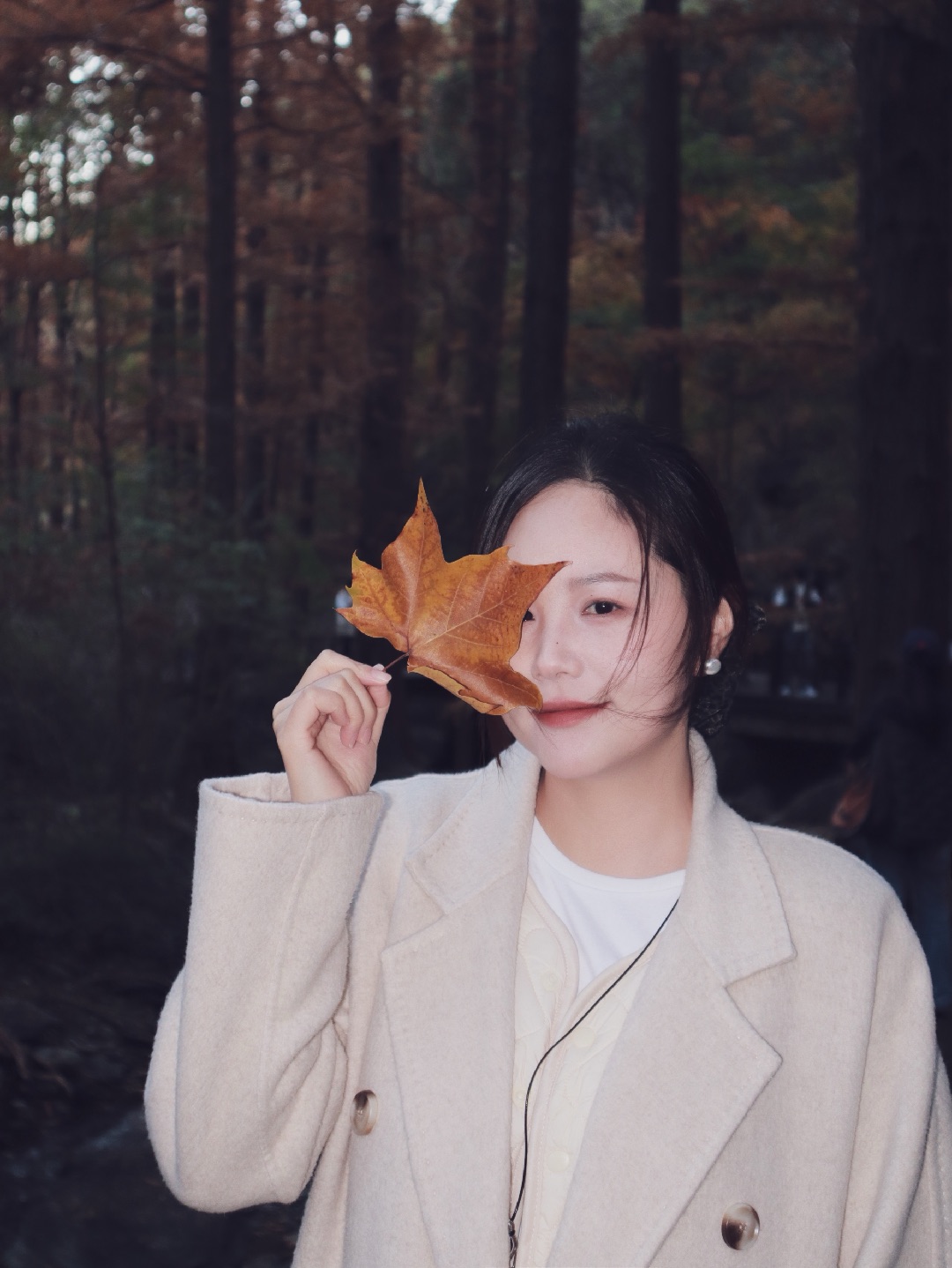 向你邮寄国家植物园的秋天🍁