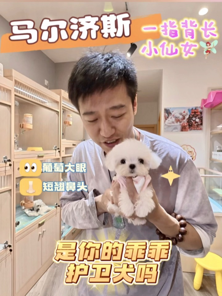 全网都在求的“梦中情犬”🐶💝原来就在我家～