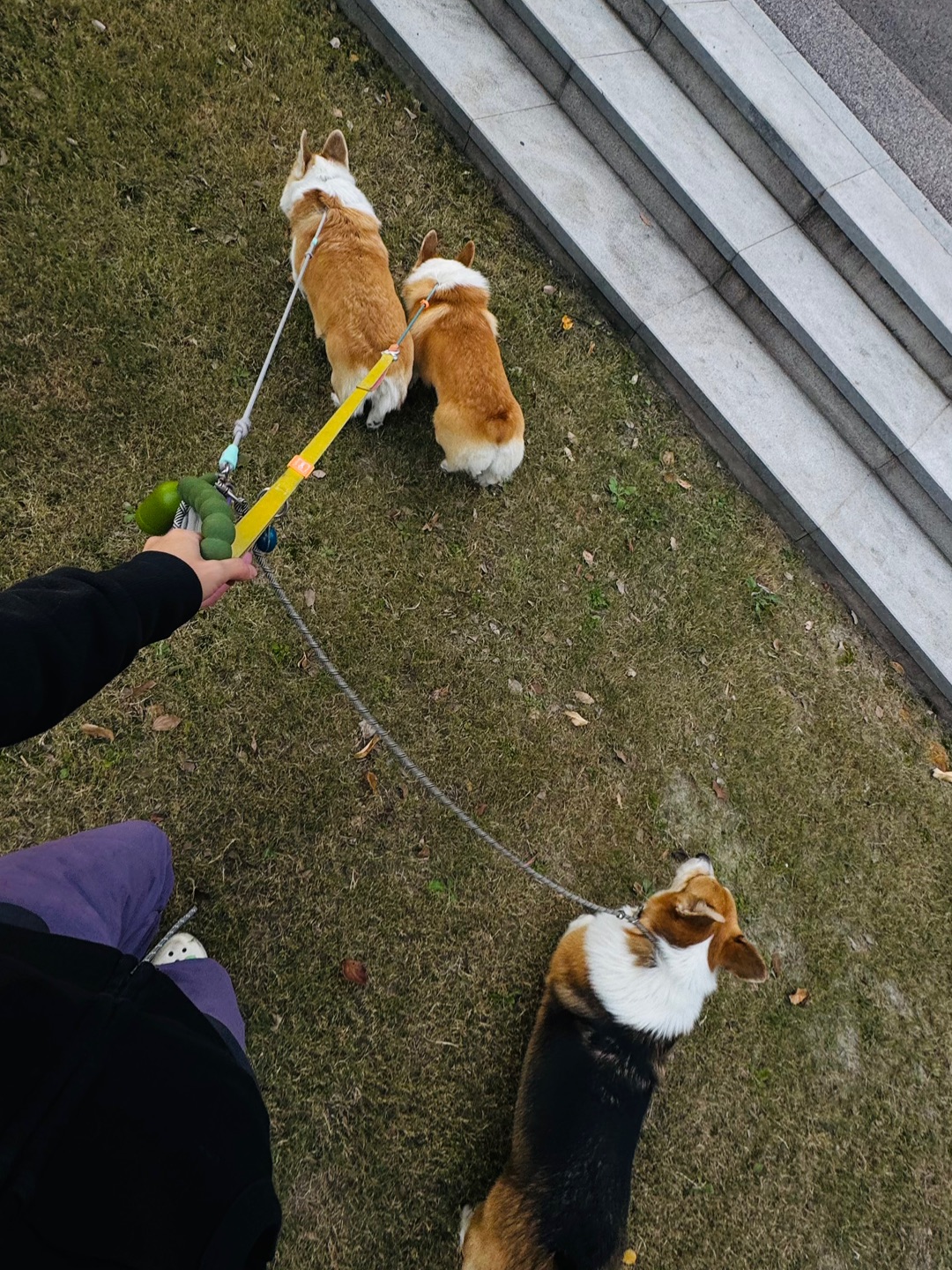 总有一个拖后腿