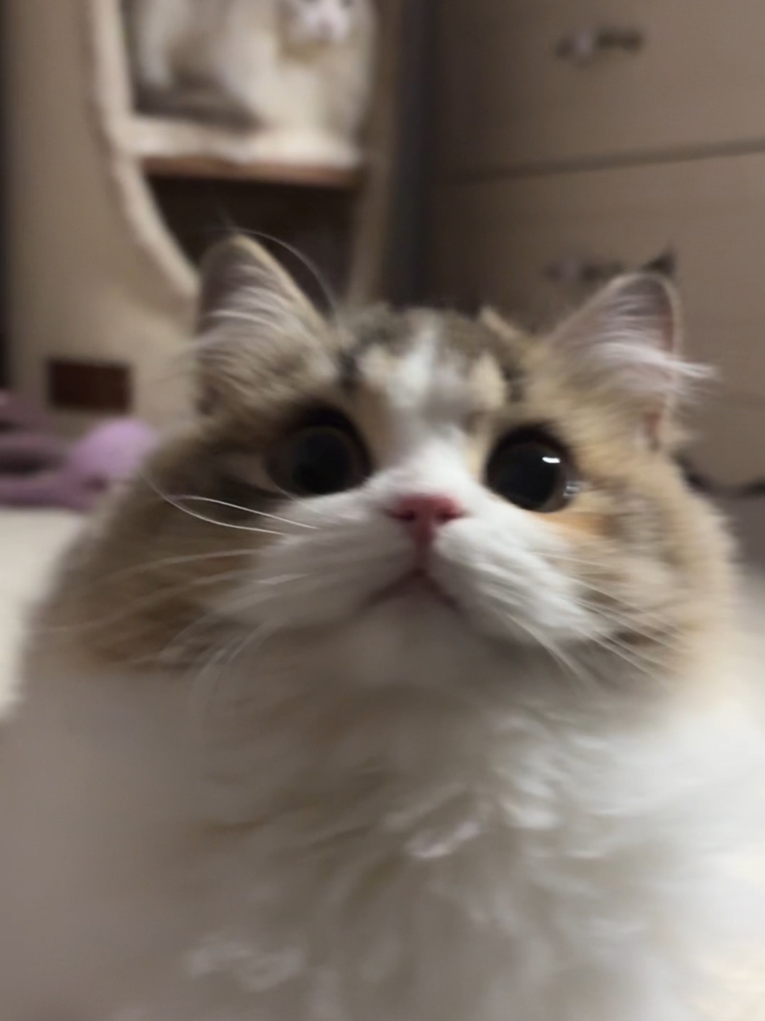 宝宝脸小小的好可爱哦！