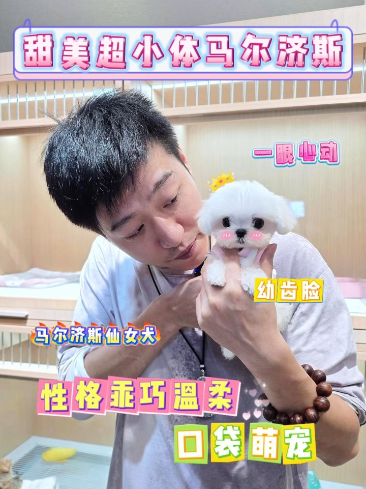 捧在手心里刚刚好的甜妹驾到🤲🏻🐶