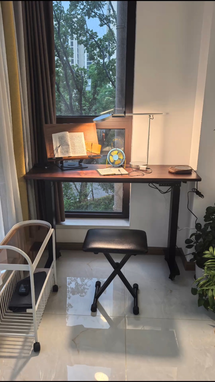 🌲 黑胡桃木长条升降桌