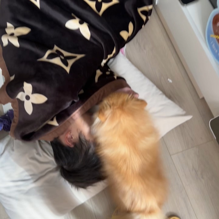 爸爸：我又有1.4了