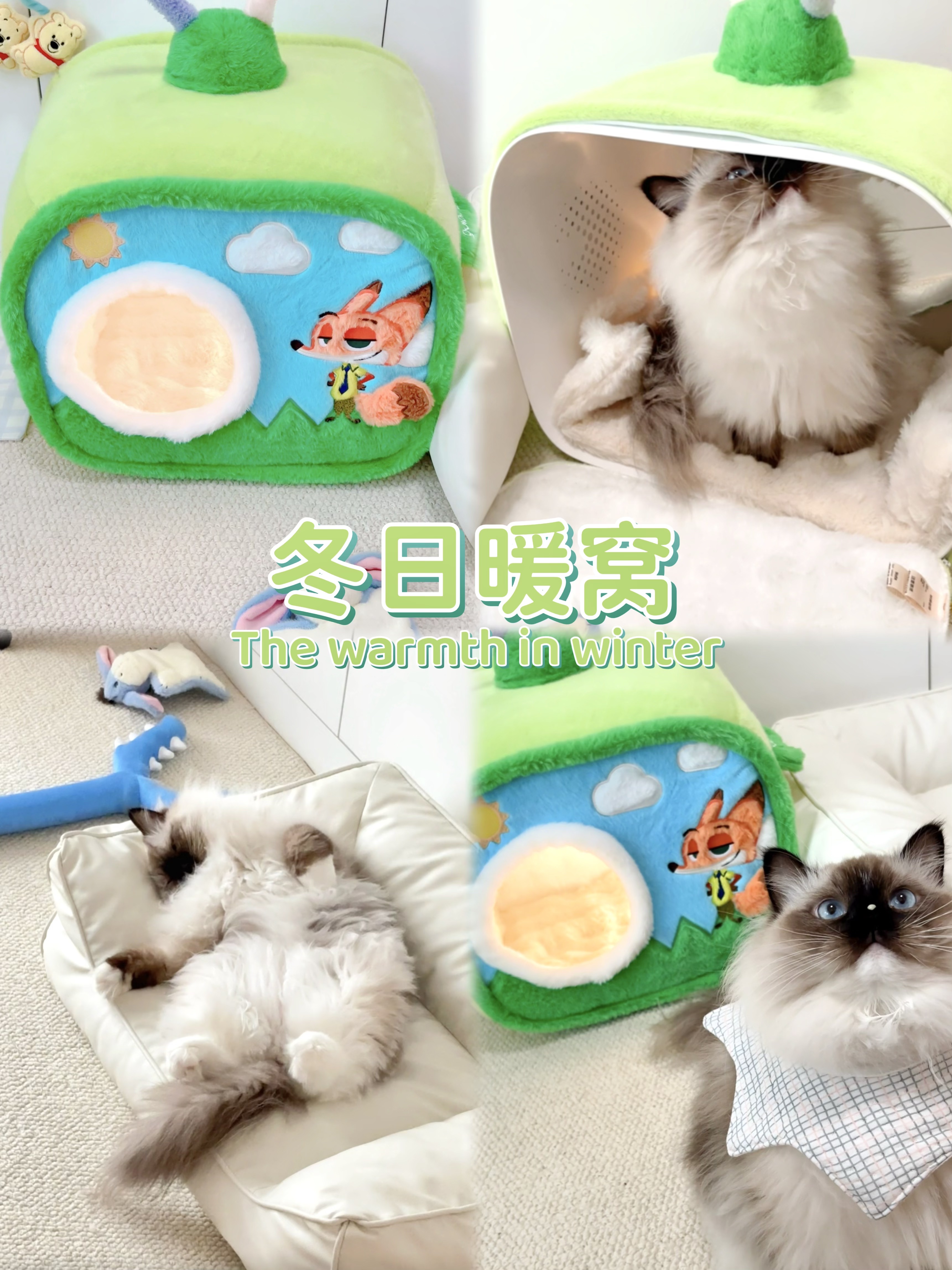 ❄️冬日猫窝.小猫的过冬神器