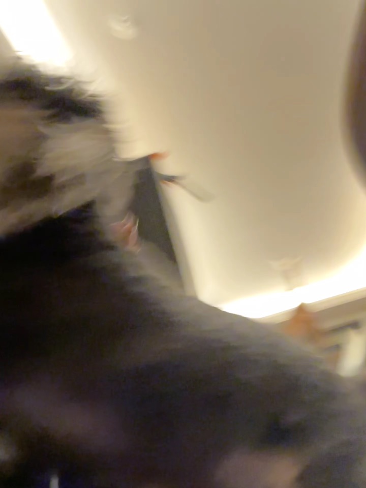 养宠人到这一步才有回家的归属感