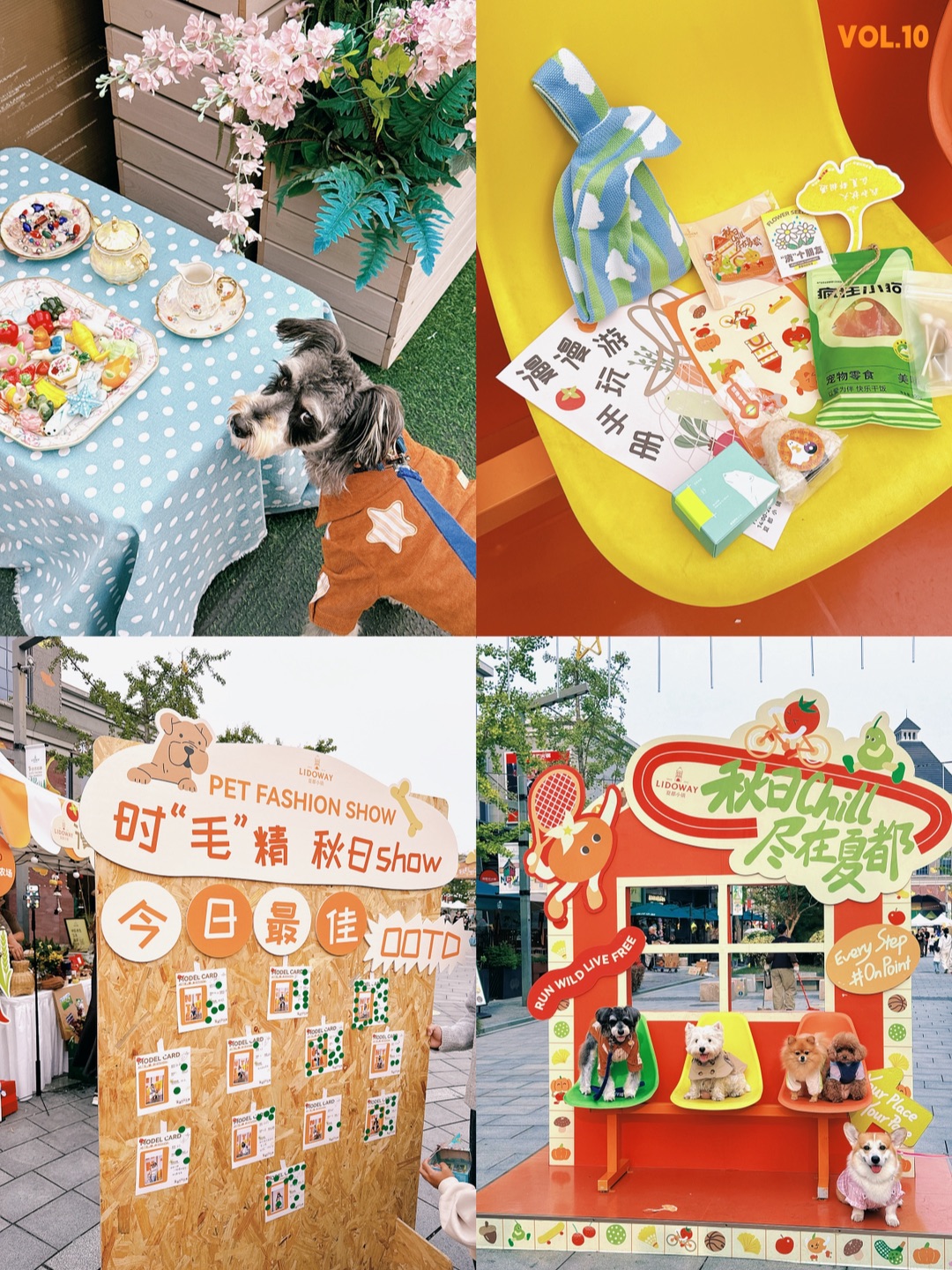 上海秋日宠物友好集市🐶