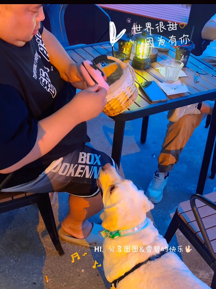 小斗，人（狗）缘开挂！🐶