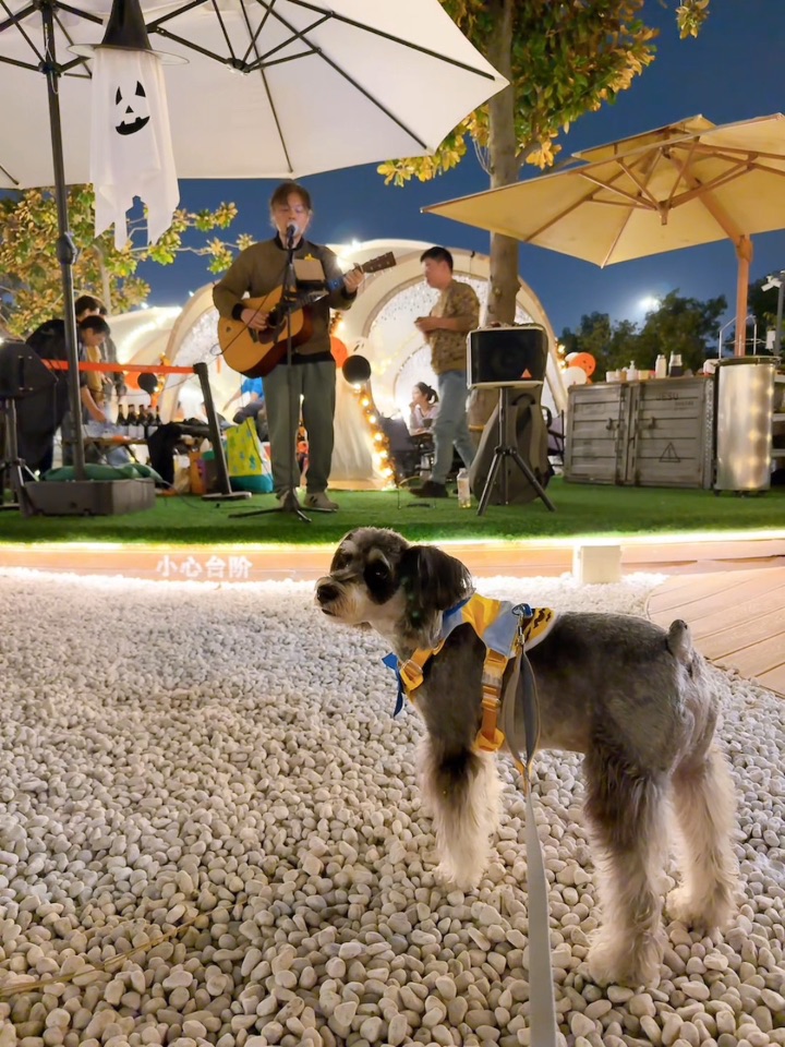 带小狗夜游蟠龙天地