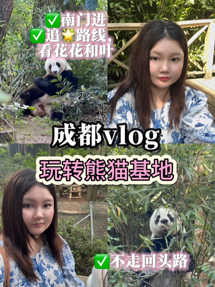 成都大熊猫基地南门全攻略！不走回头路！！