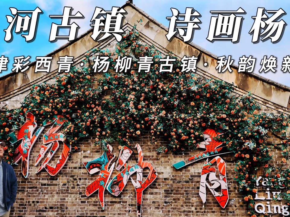 津彩西青 杨柳青古镇秋韵焕新