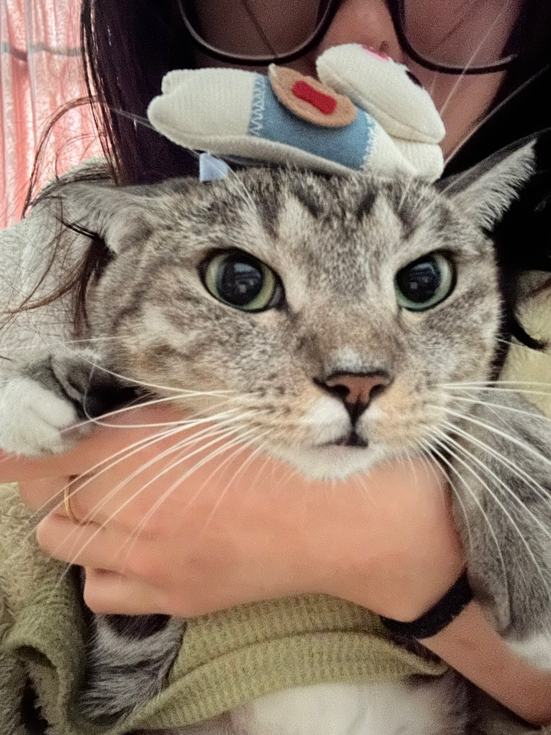 11.4 今天好冷啊小猫