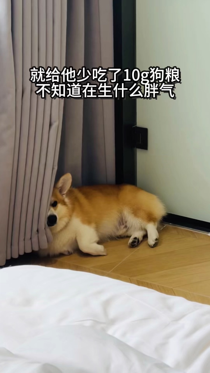 就少给了10g狗粮……不至于吧