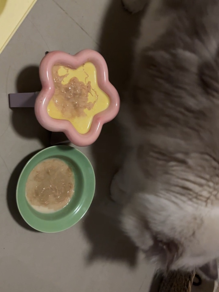 加了益生菌都不肯吃了5