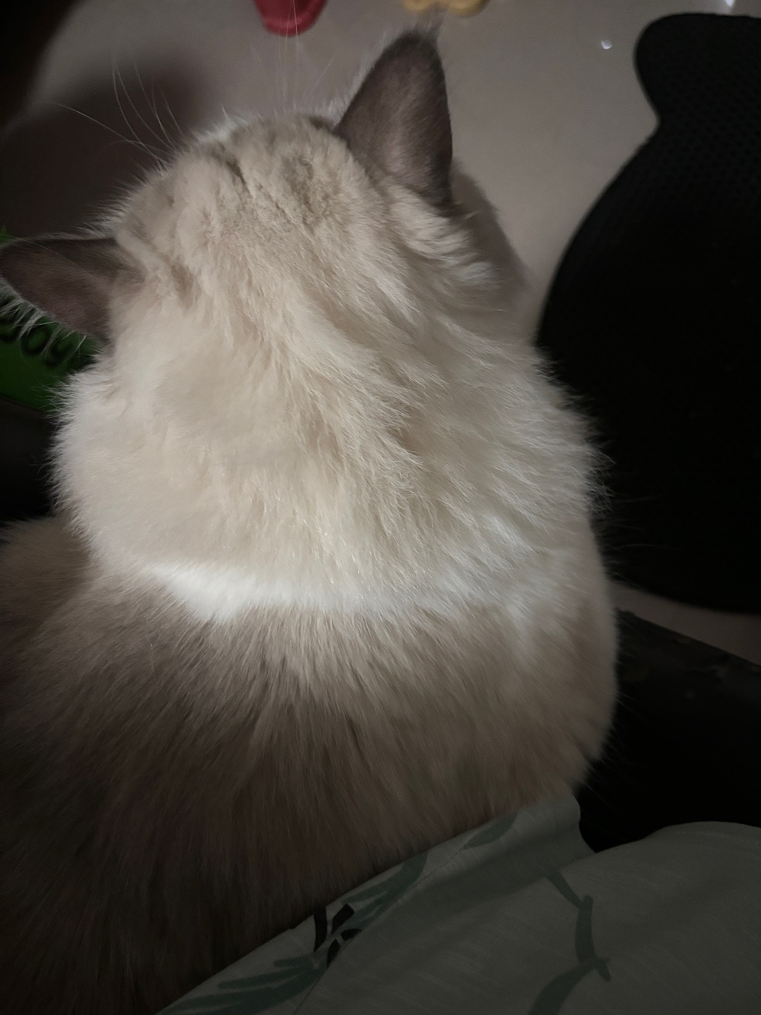 脆弱时候紧紧跟着我4-1