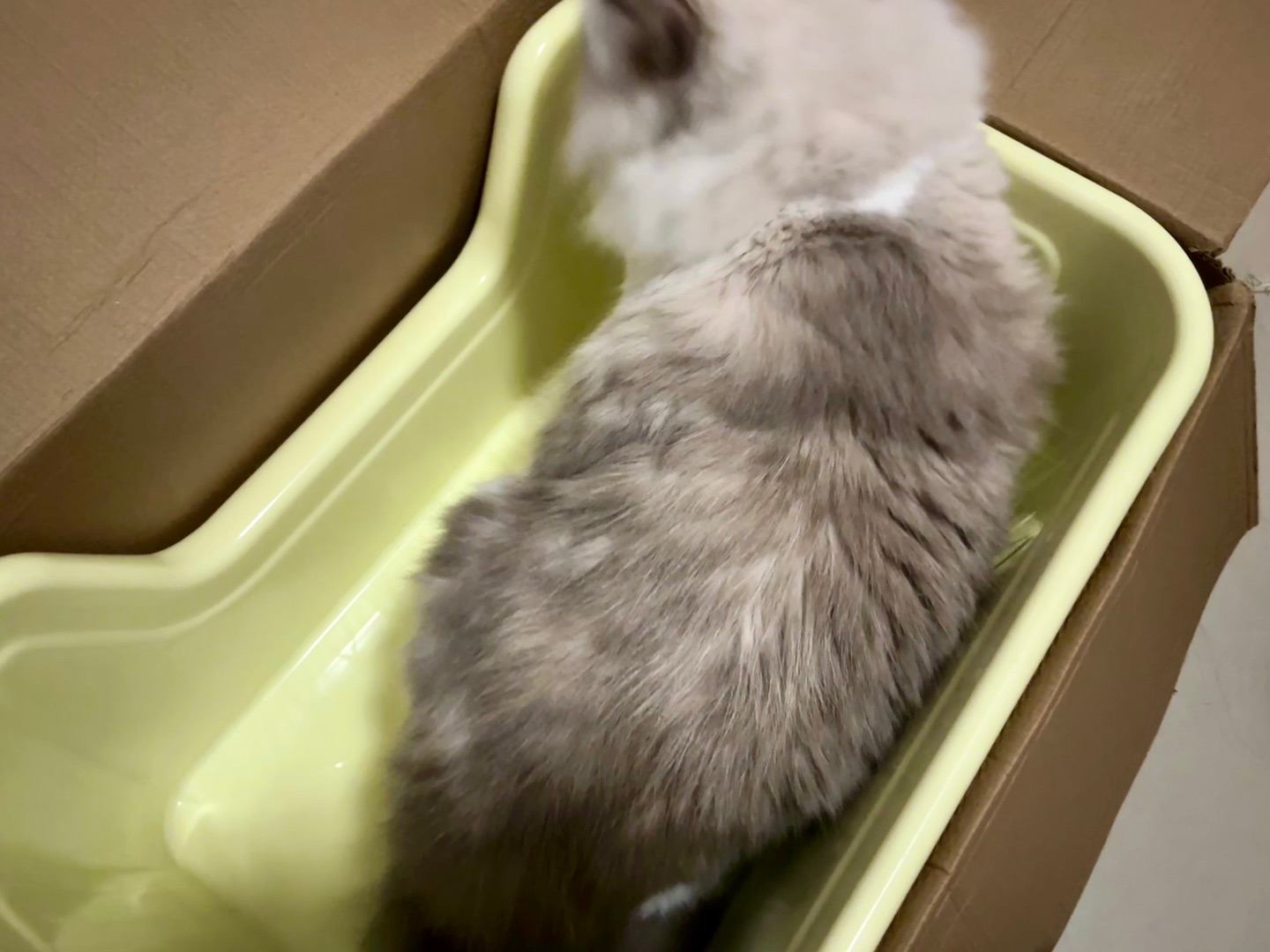 好像是买小了嘎嘎4-2