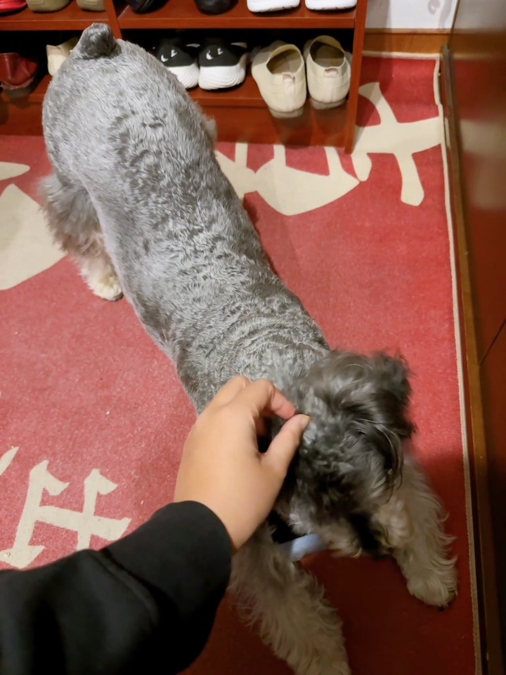 你是我见过最不爱吃饭的小朋友了