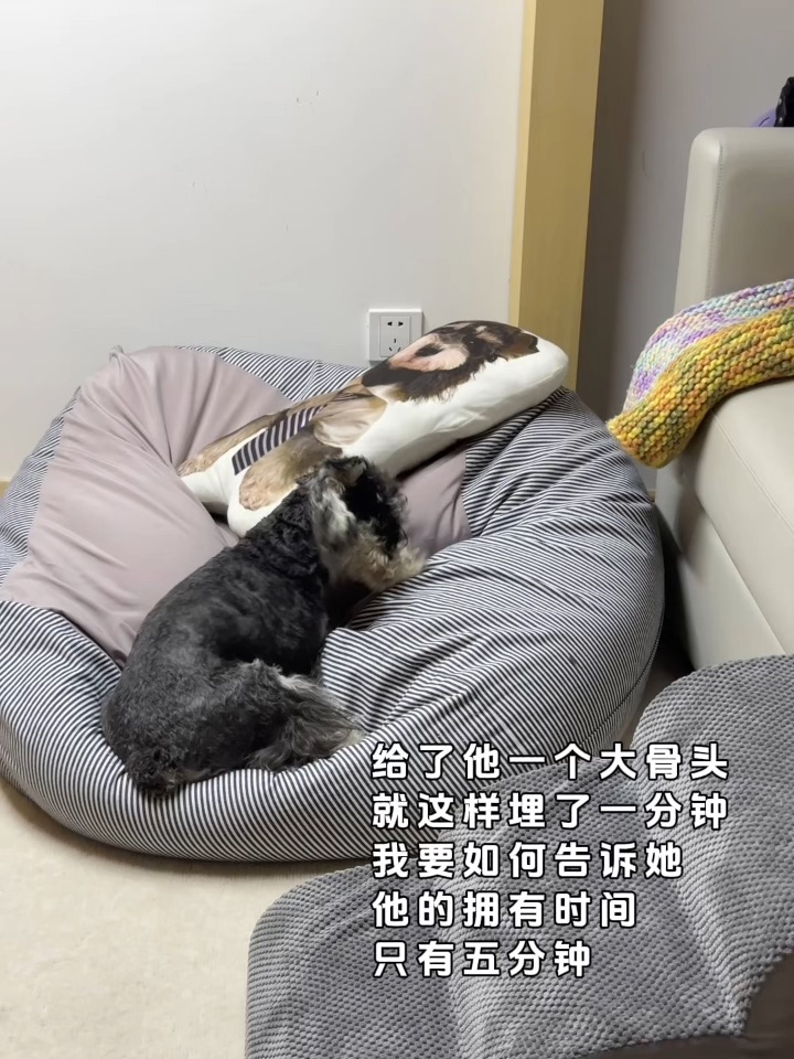 你好先生这边用餐时间已经到了