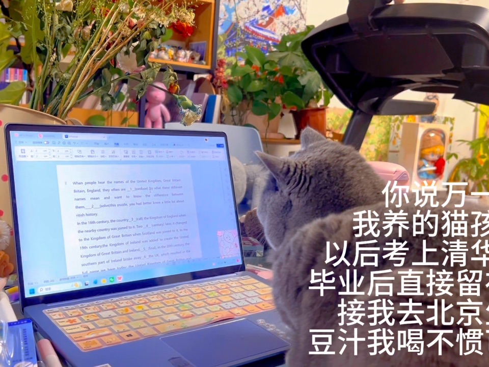 📚猫咪学霸养成记！目标清北