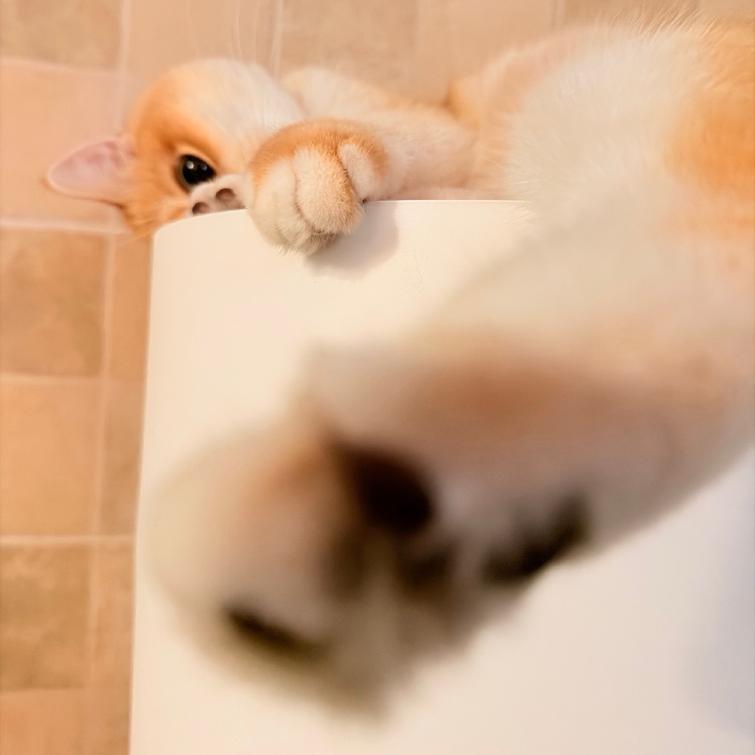 麻麻～你这样拍我我真的很害羞😳啦