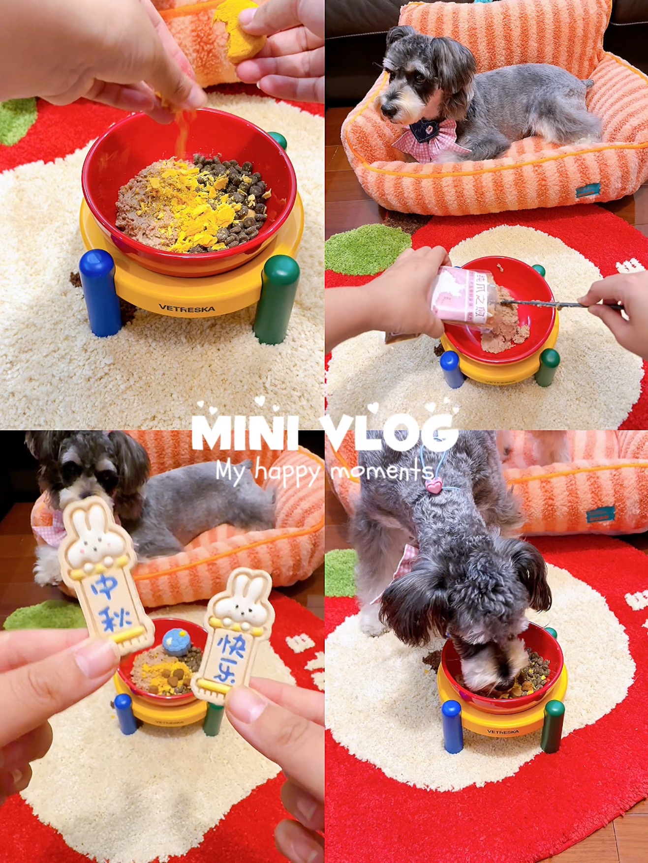 给小狗准备漂亮饭也是一种乐趣