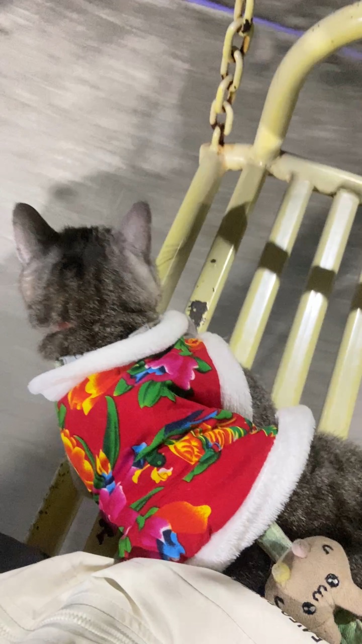 11.6 要摔倒了 笑死我了快