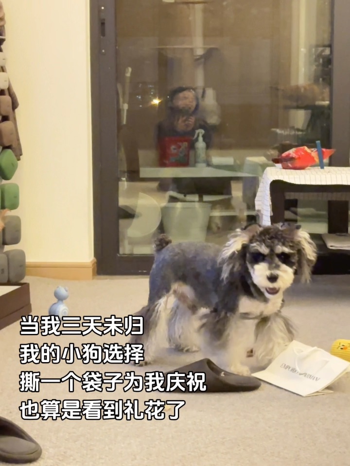 熟悉的感觉又回来了