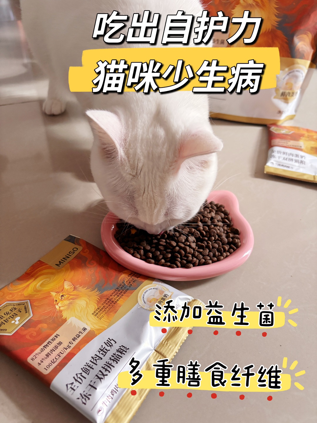 11.21猫粮不错