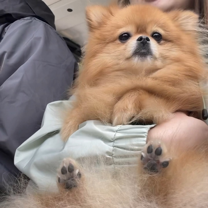 谁懂呀，她好像一个宝宝😮💨