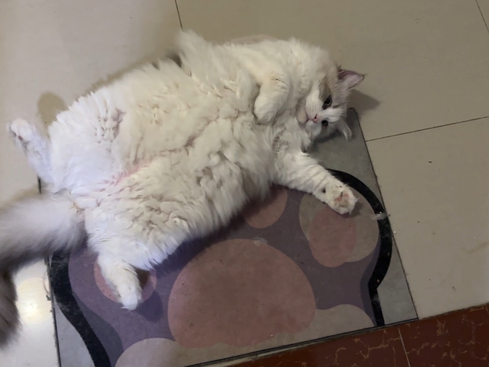 天天不想回家在门口趟7