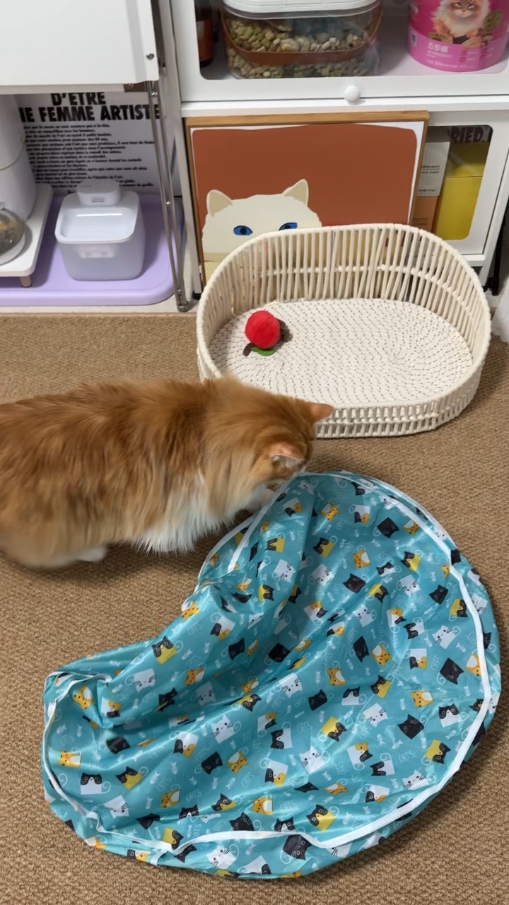 哈哈哈哈哈哈哈哈哈哈                   .