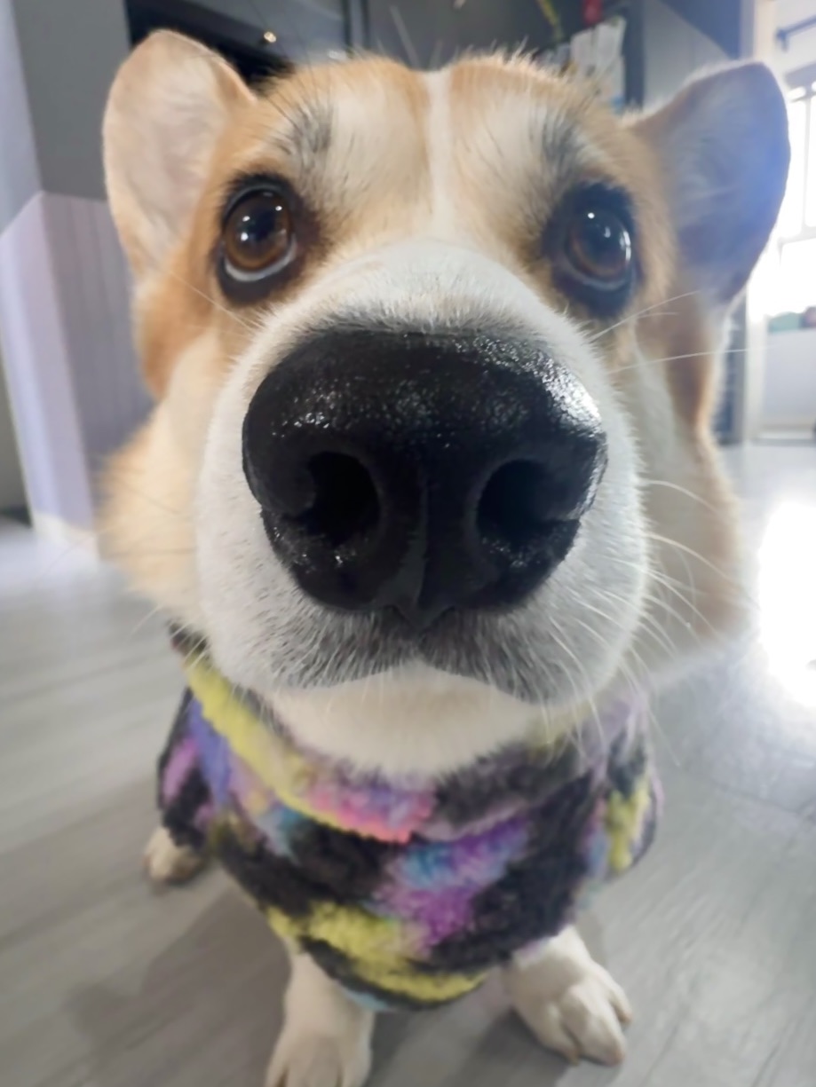 人 粥五耶不耶！