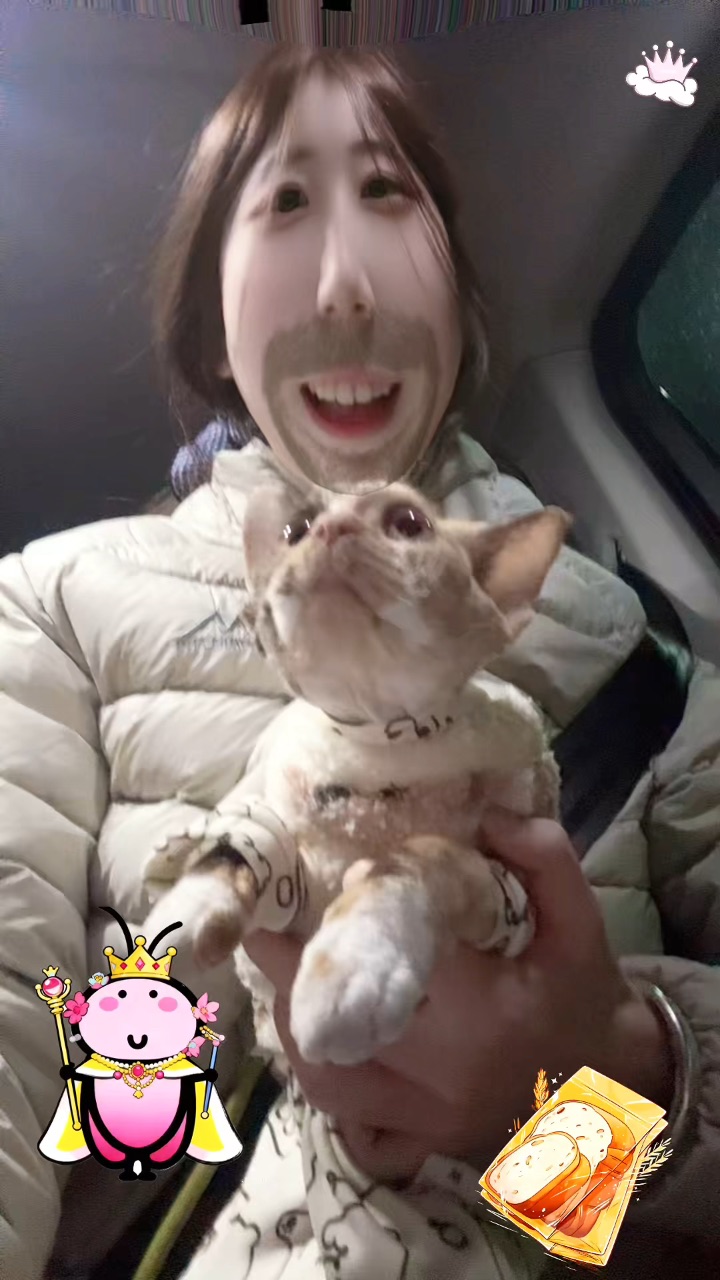 Come on cat let’s go party！