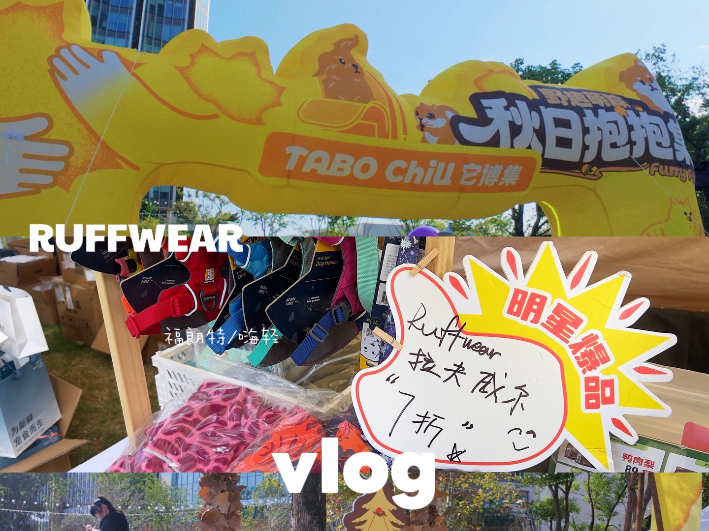 🎬vlog｜把人宠的野趣时光装进vlog里