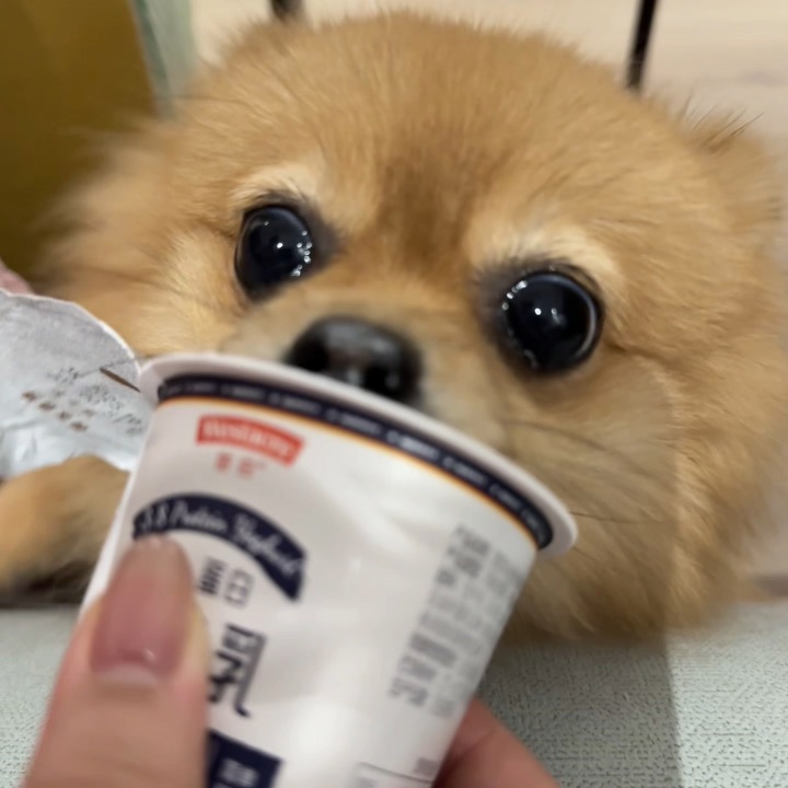 谁懂呀，嘴筒子短的痛