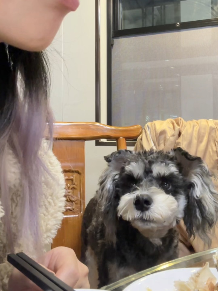 你们吃饭的时候旁边也有监视器吗