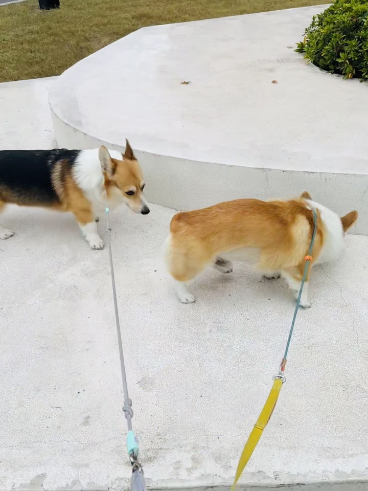 父子两一个德行