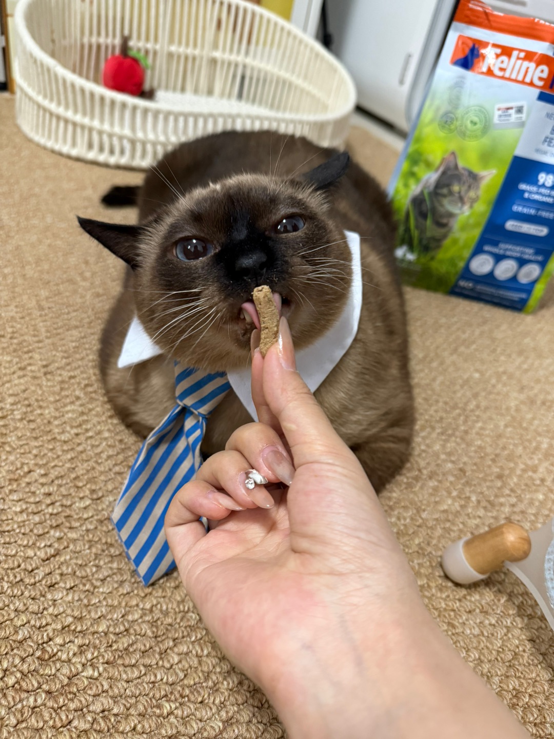 哈哈哈哈哈哈哈哈哈哈哈哈哈哈哈哈哈哈哈           .