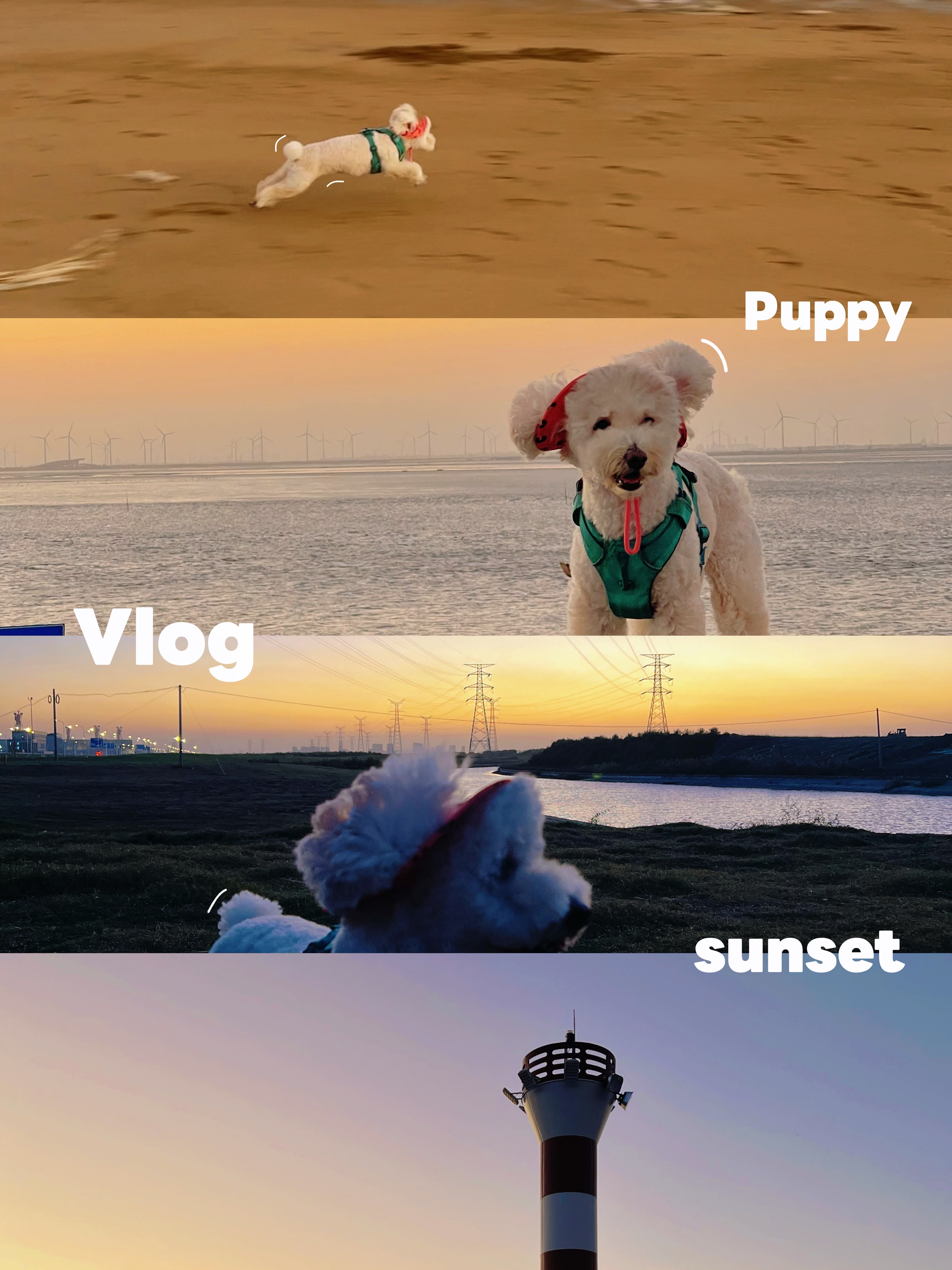 Daily｜感受夏末初秋的落日和晚风