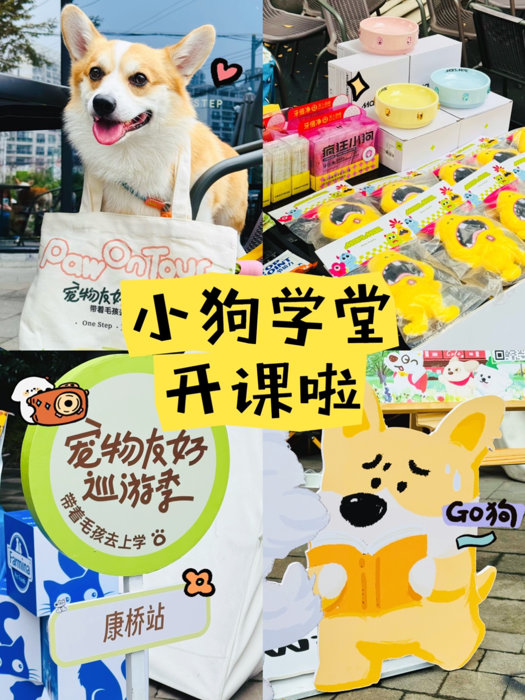 小狗课堂开课啦～