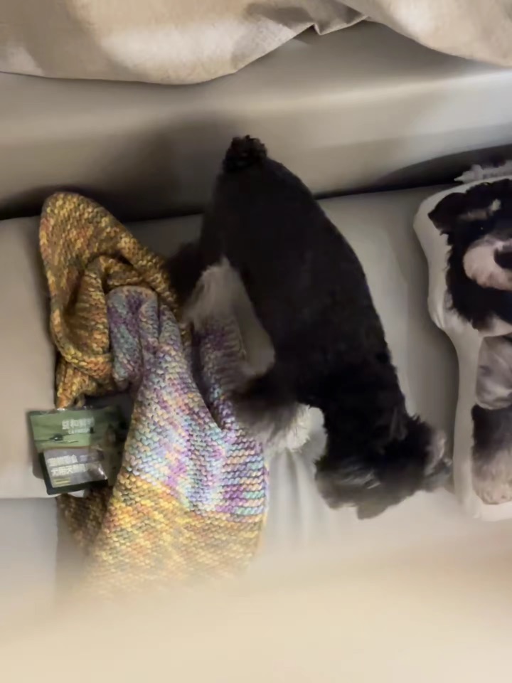 中式教育下的小孩才懂