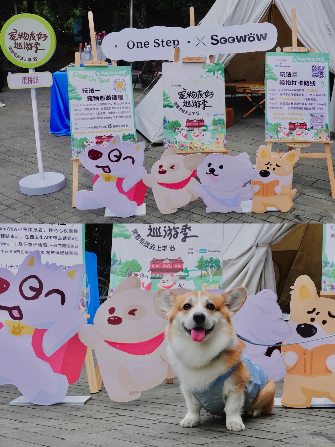 『一尺花园』的课堂显眼包上线🎒