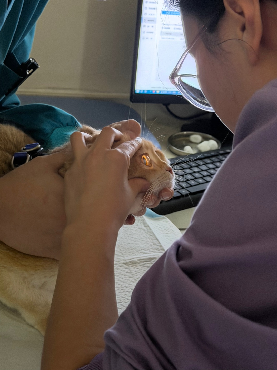 我在检查👀，检查我的玻璃球大眼睛👁️