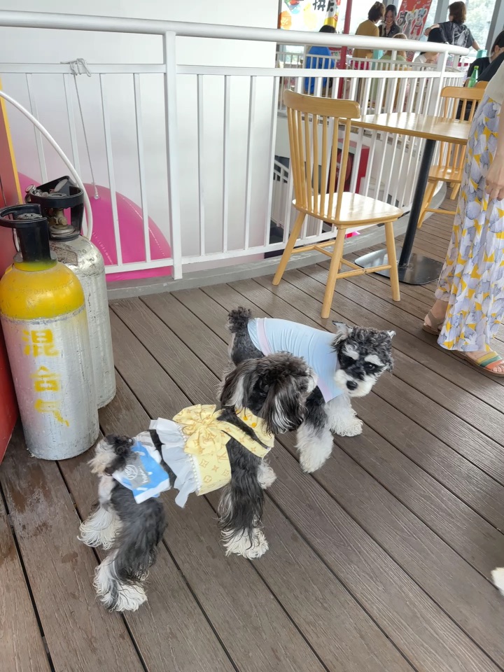 小说妹已经在悄悄幻视了