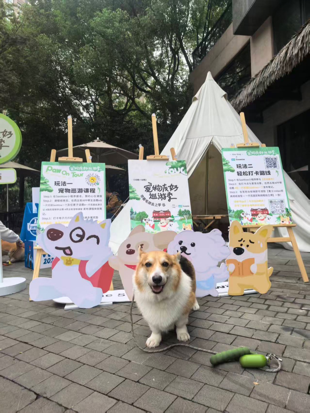 魔都周末🐕小狗娱乐好去处