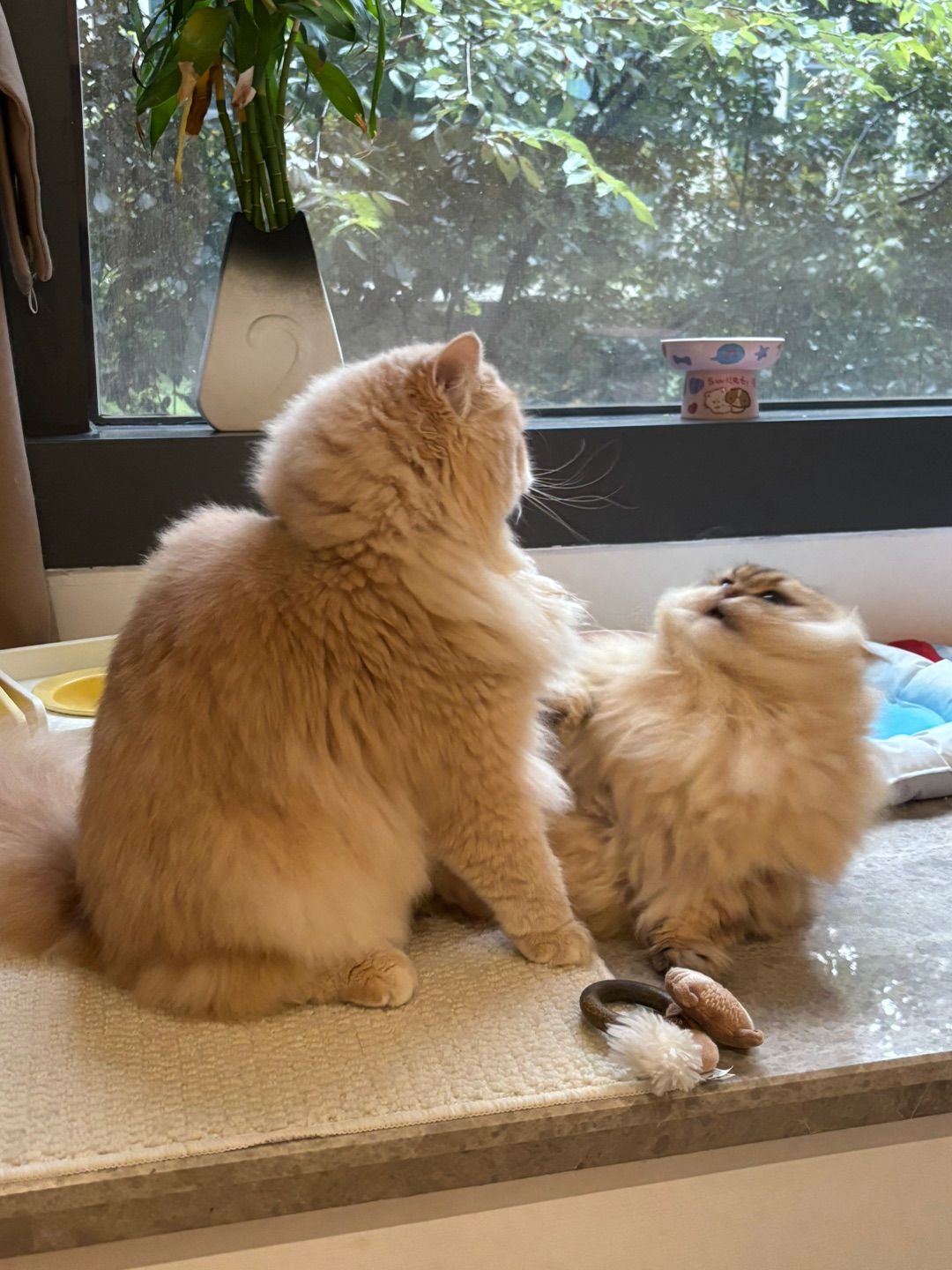 周一好 不好也周一了