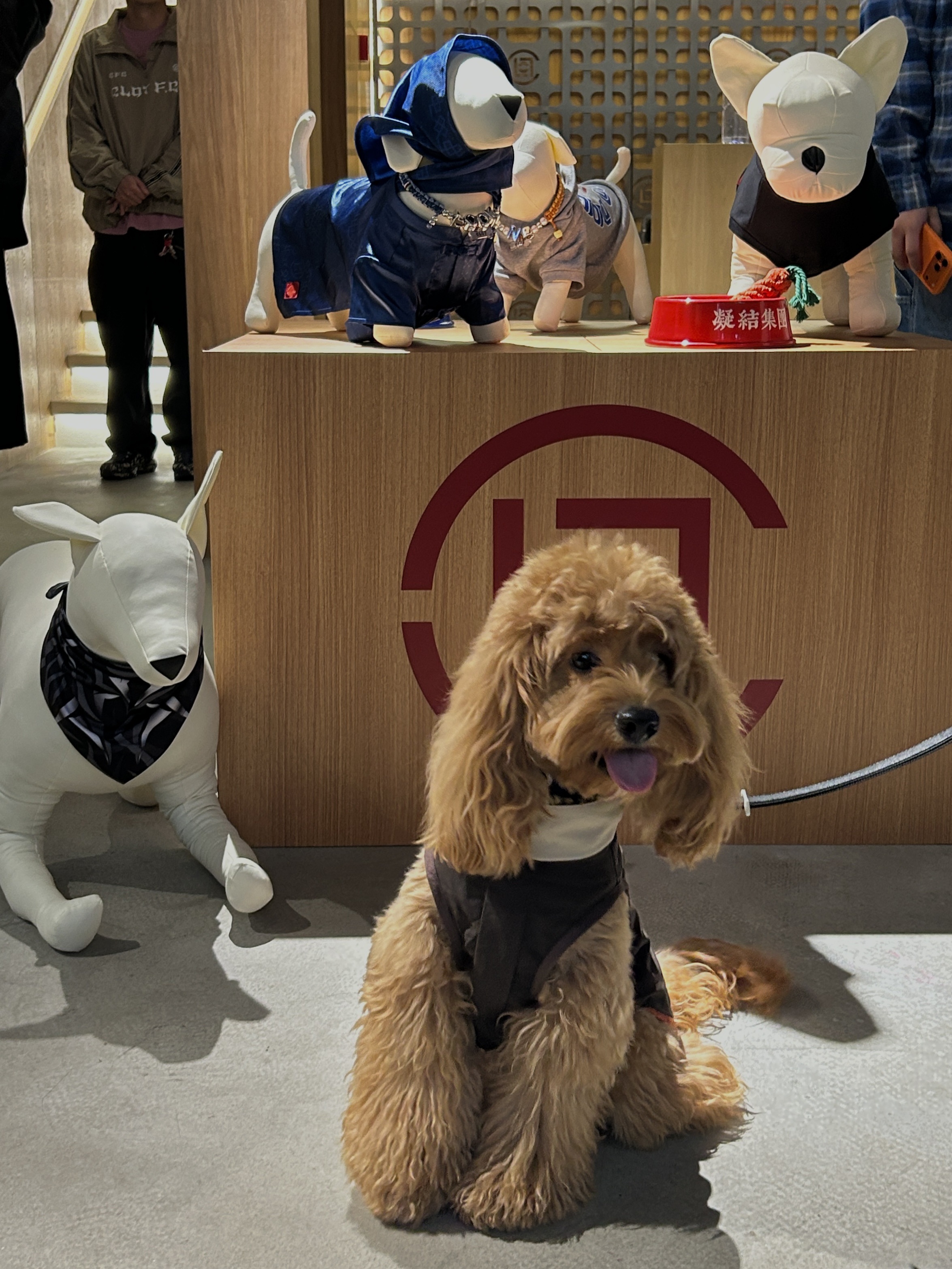 Cuca's Daily 来支持冠希哥的CLOT🐾