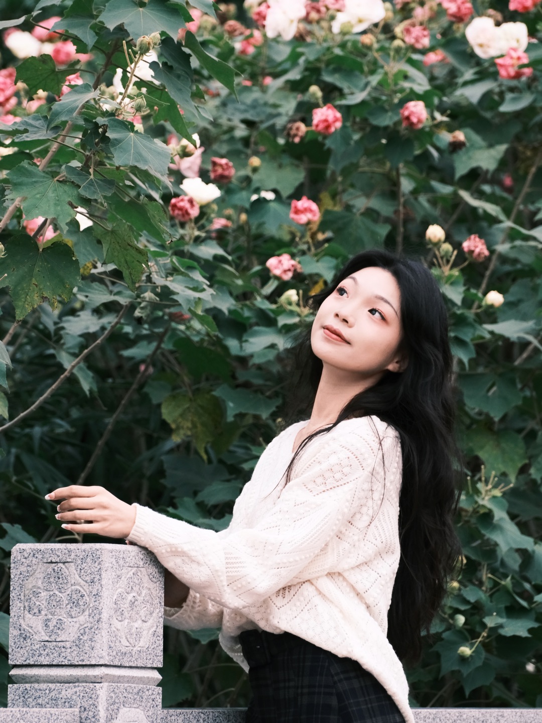 秋天的印记·芙蓉花开