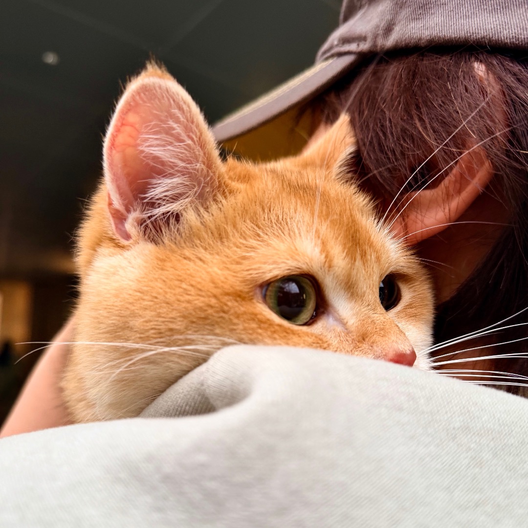 被麻麻捧在手掌心💓可以看到好多风景